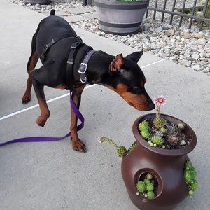 Meet your Posher, Jennifer